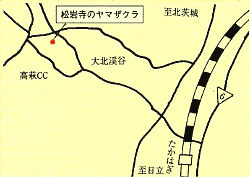 松岩寺のヤマザクラへの地図