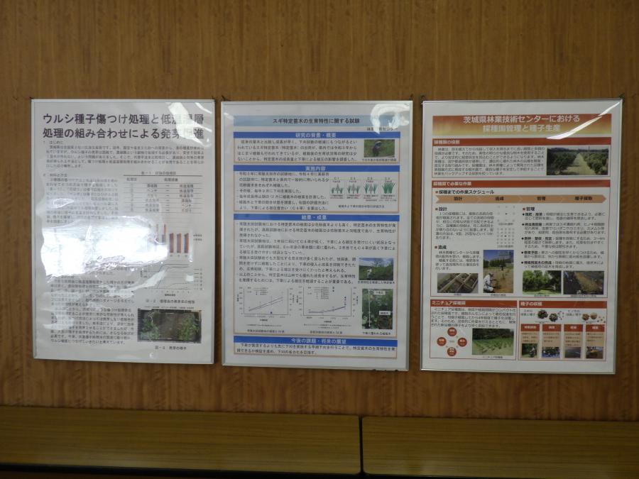 ポスター展示の様子