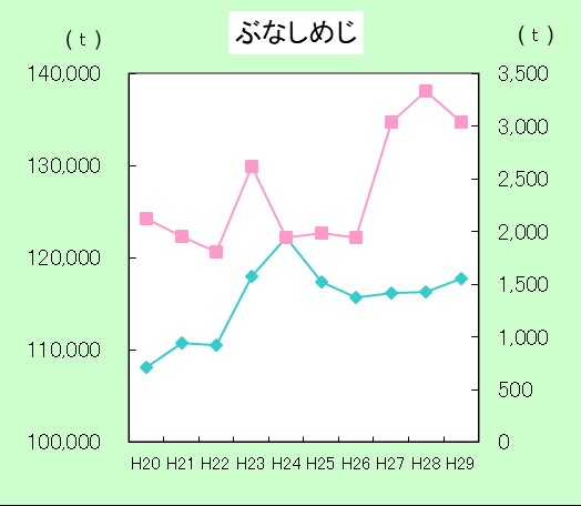 H29ぶなしめじ生産量