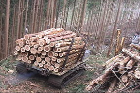 森から運搬車で木材を運び出す写真