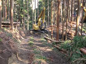 「高性能林業機械を使用した間伐作業にも利用」のイメージ写真
