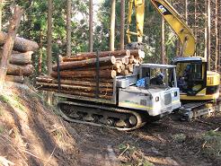 「森林づくり推進体制整備事業」イメージ写真