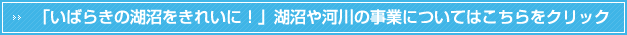 「いばらきの湖沼をきれいに！」湖沼や河川の事業についてはこちらをクリック