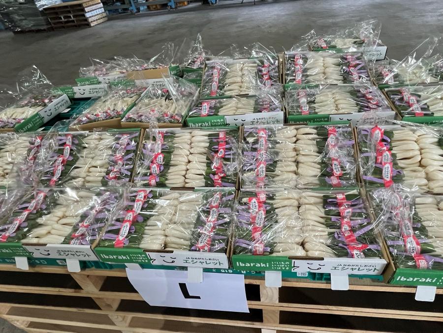 エシャレット写真