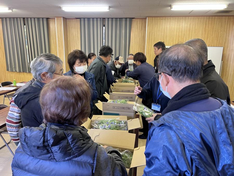 シュンギク目揃会2