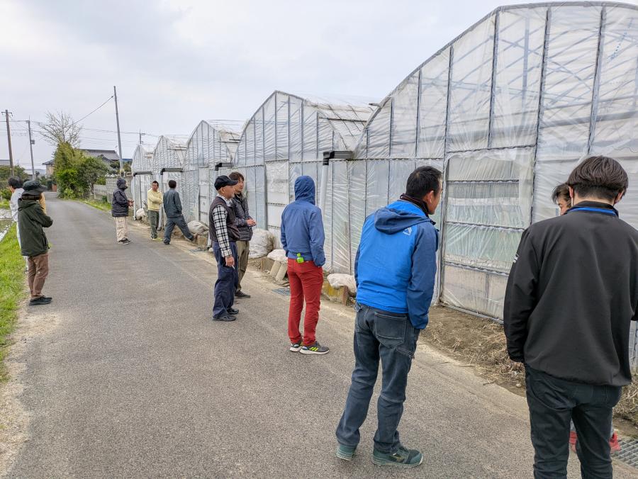 現地検討会・栽培講習会中の様子2