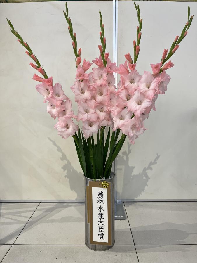 農林水産大臣賞