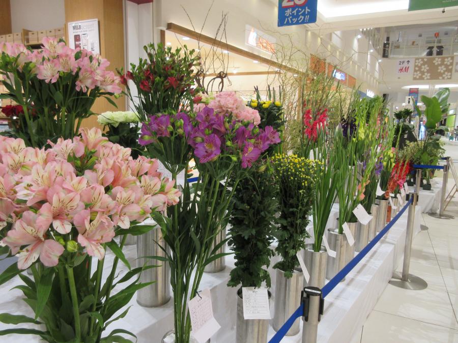 46回県花展写真