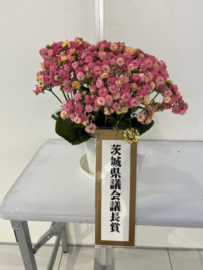 茨城県議会議長賞