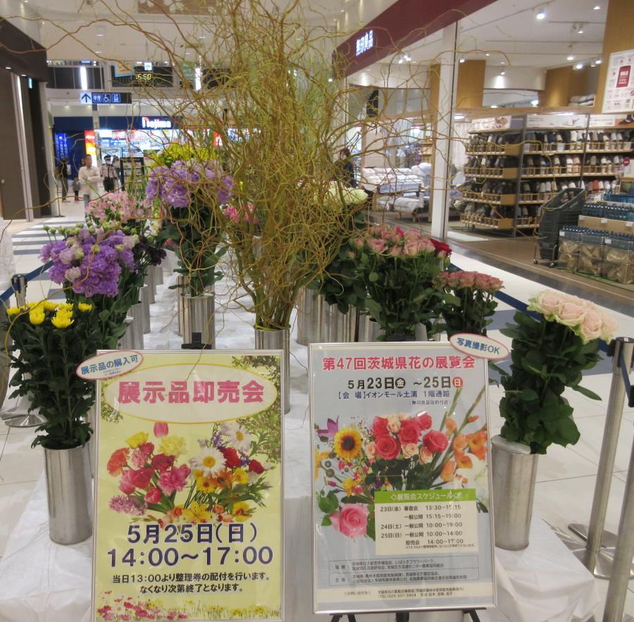 47回県花展1
