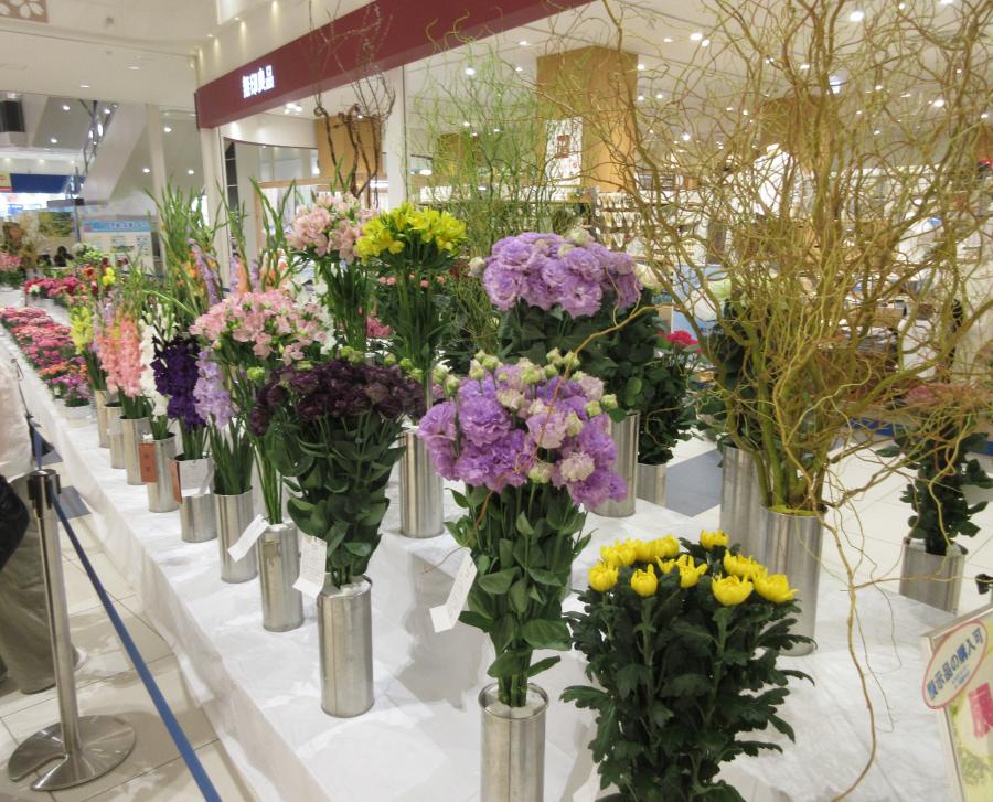 47回県花展3