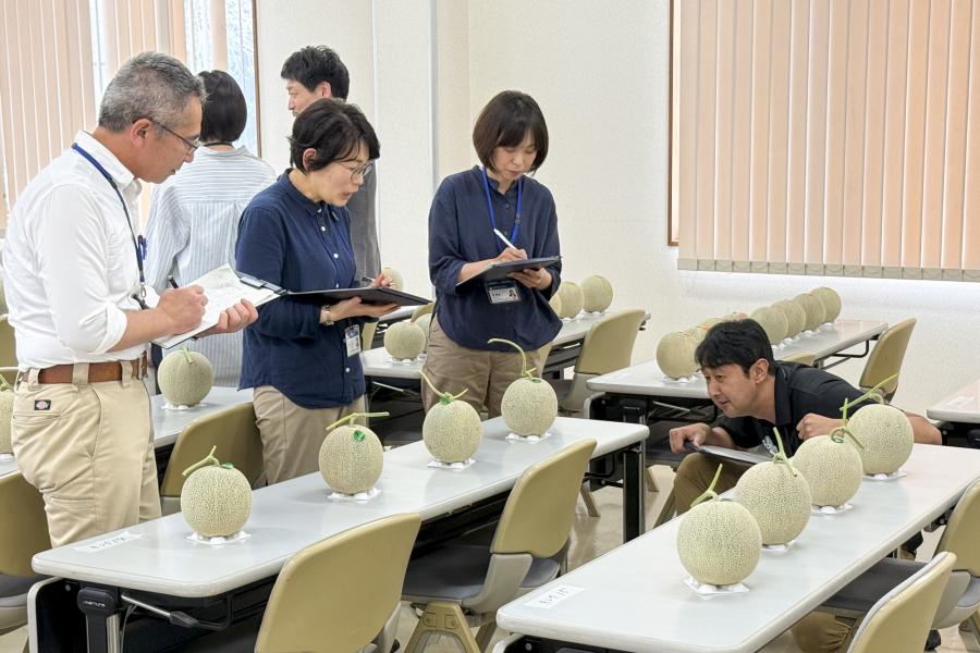 一次審査の様子