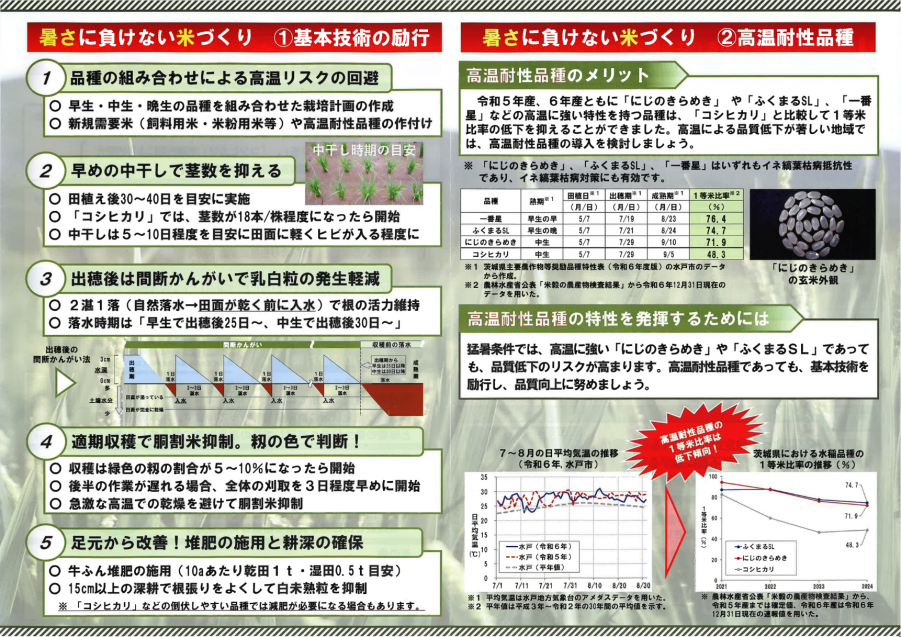 ②暑さに負けない米づくりチラシ_R6