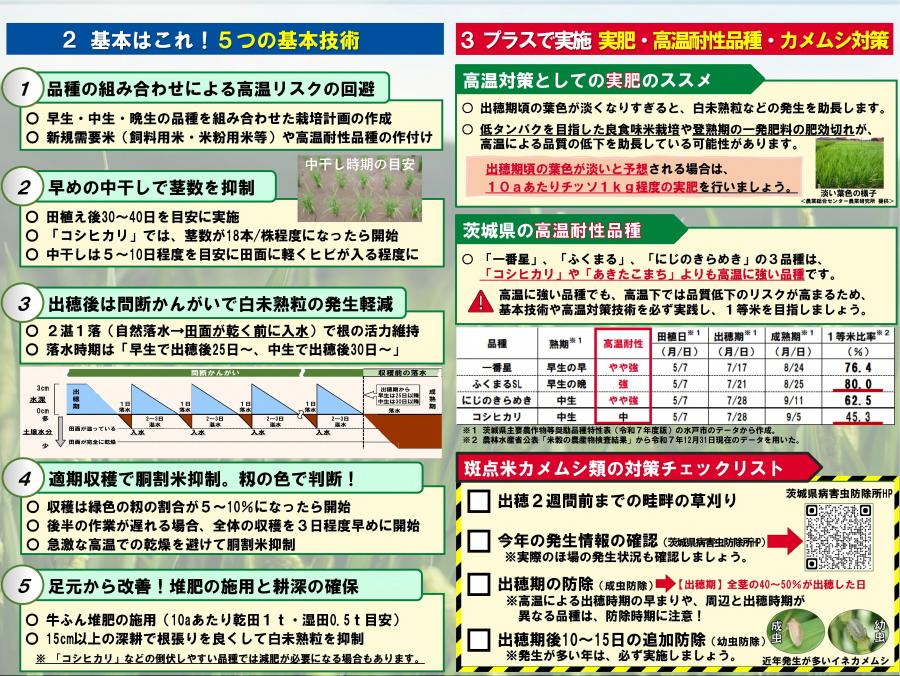 （裏）暑さに負けない米づくりチラシR7
