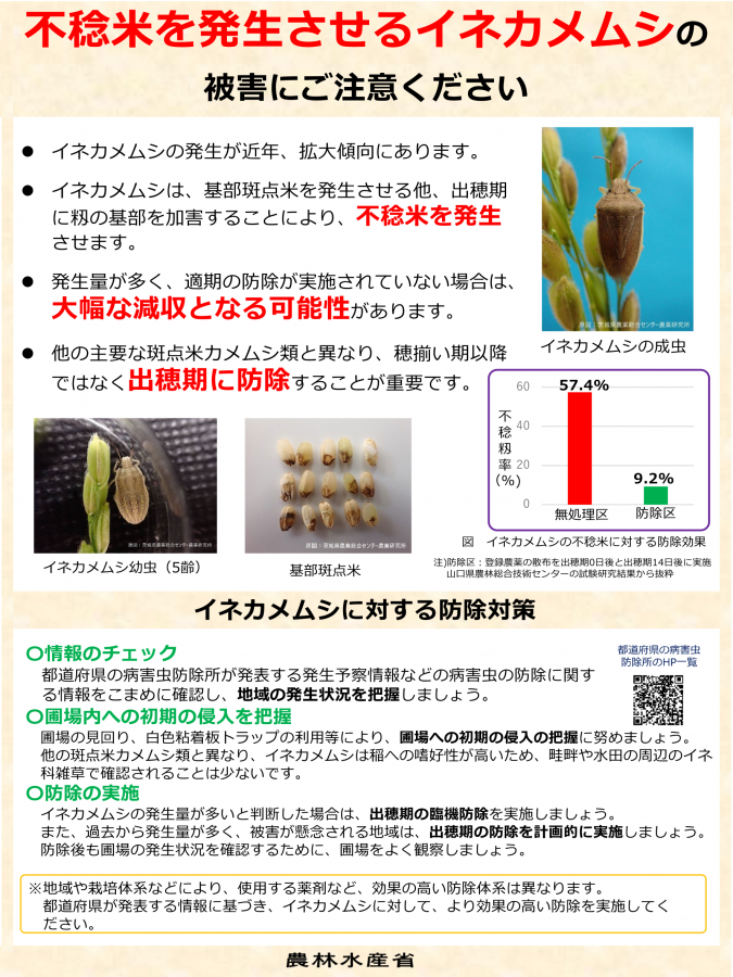 農林水産省_イネカメムシ_チラシ