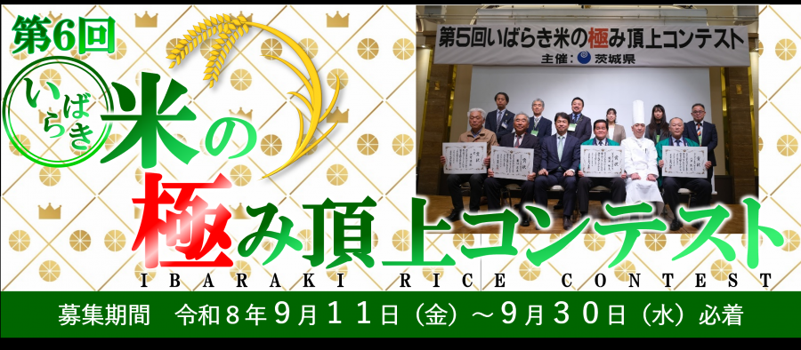 第5回画像