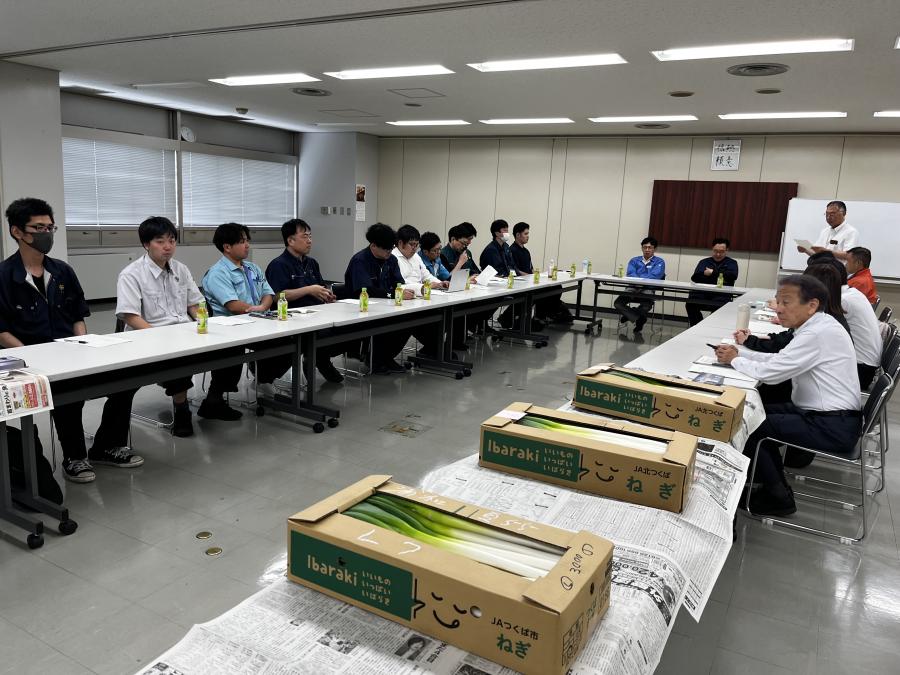 ねぎ品質規格調査