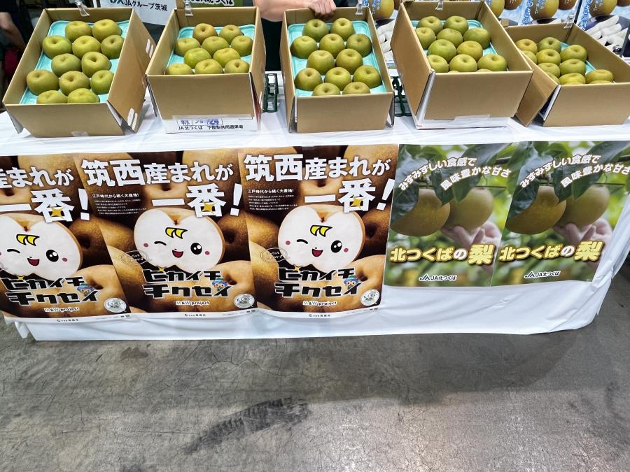 JA常総ひかり梨試食