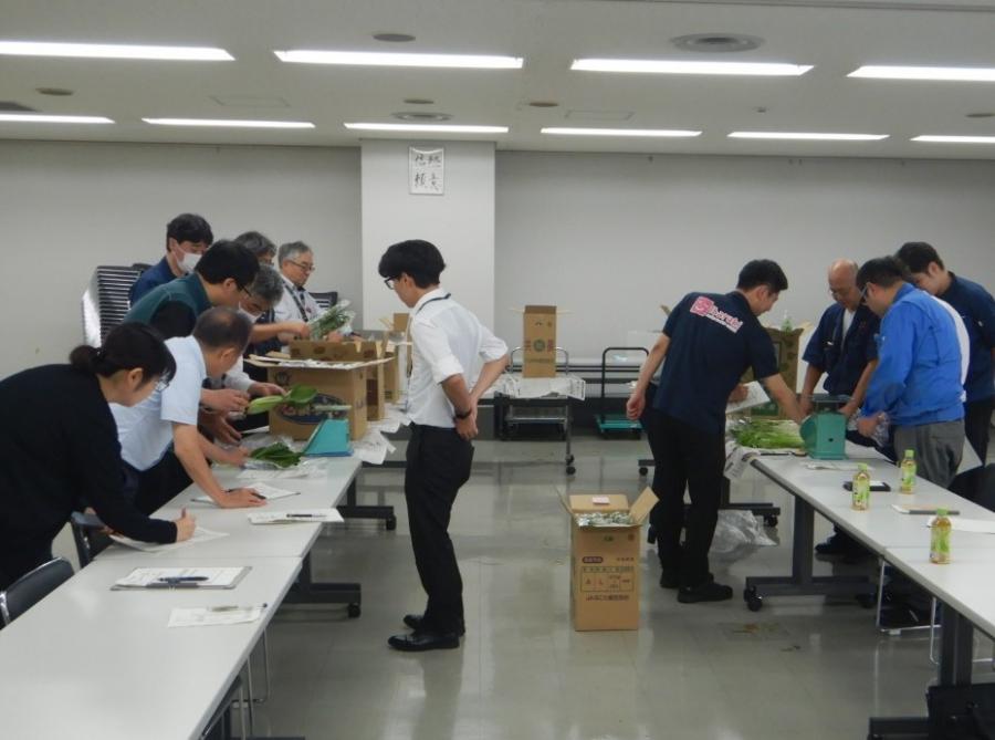 みずな・こまつな品質規格調査