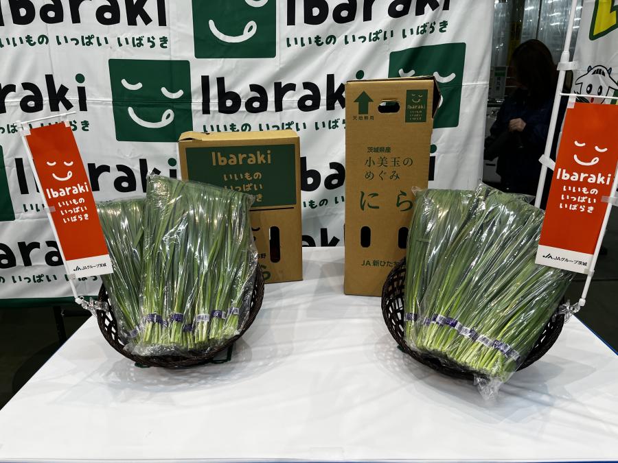 JA新ひたち野にら