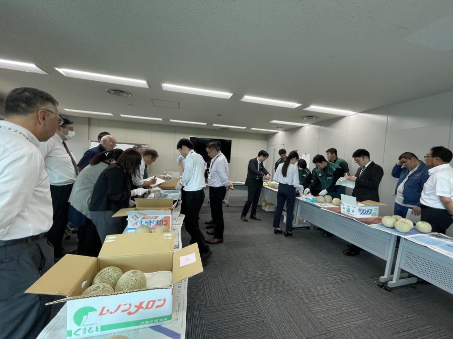 メロン品質規格調査にて参加者が調査を行う様子