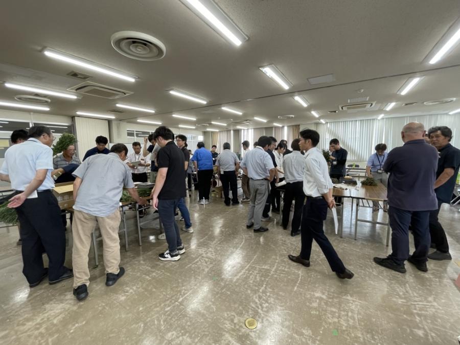 小菊品質規格調査1