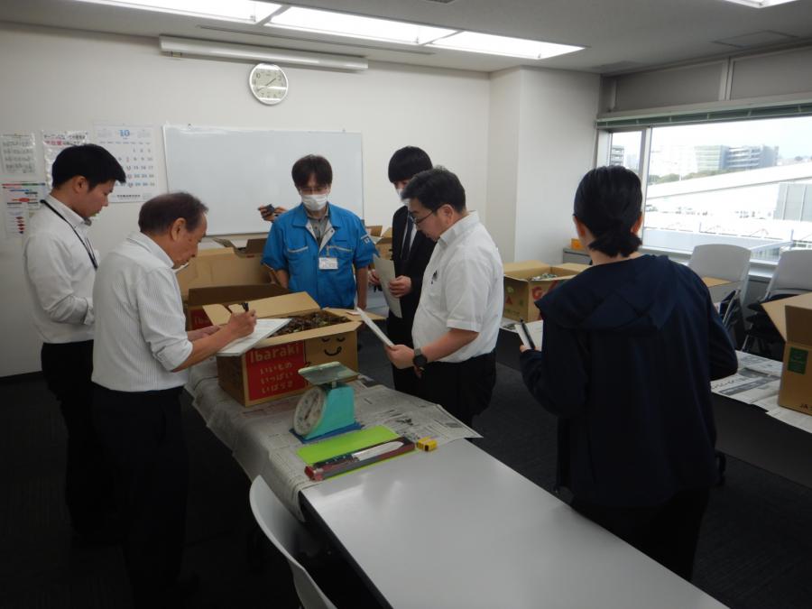レタス類品質規格調査の様子