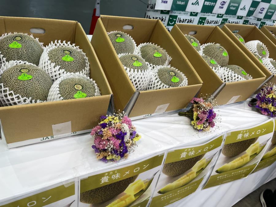 タカミメロン