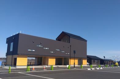 hokotasi1