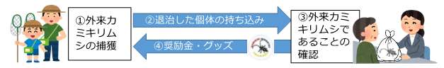 カミキリみっけ隊図