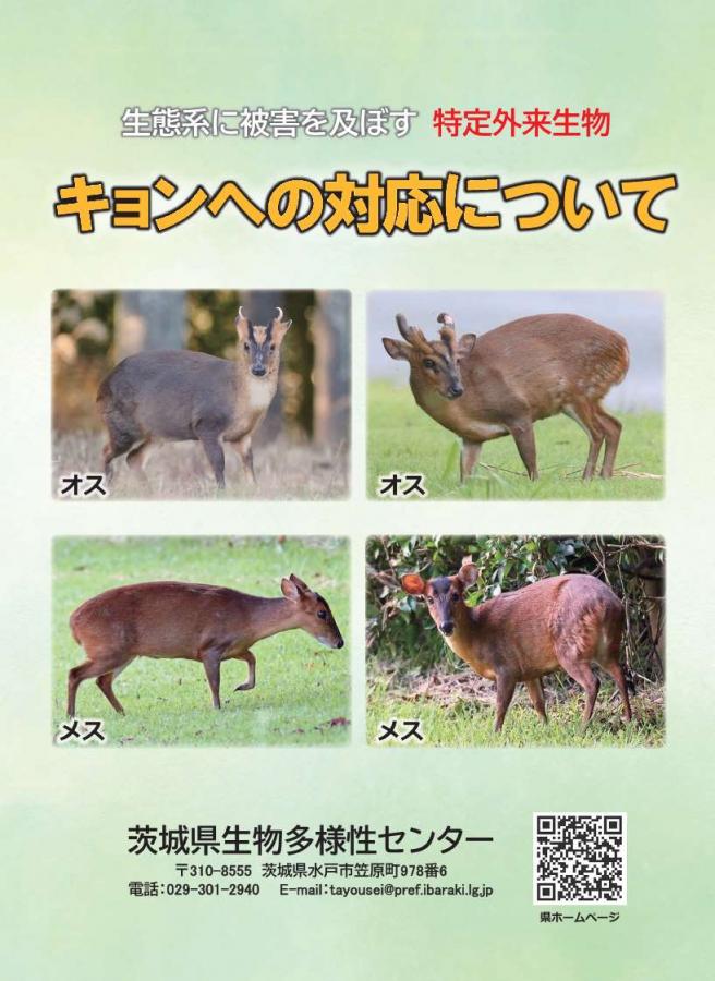キョンリーフレット2501