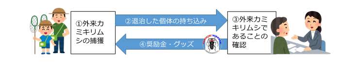 カミキリみっけ隊図