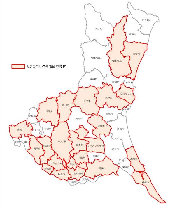 茨城県全図（セアカゴケグモ）
