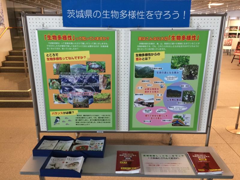 2019生物多様性広報コーナー展示