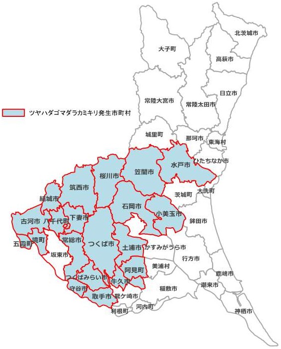 ツヤハダゴマダラカミキリ県内分布図260724