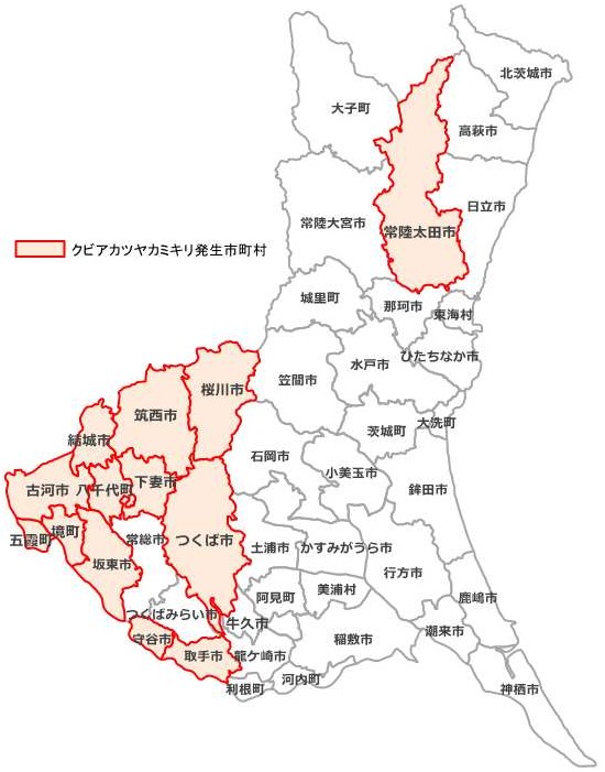 クビアカツヤカミキリ県内分布図260729