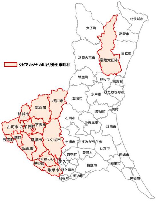 クビアカツヤカミキリ県内分布図260806
