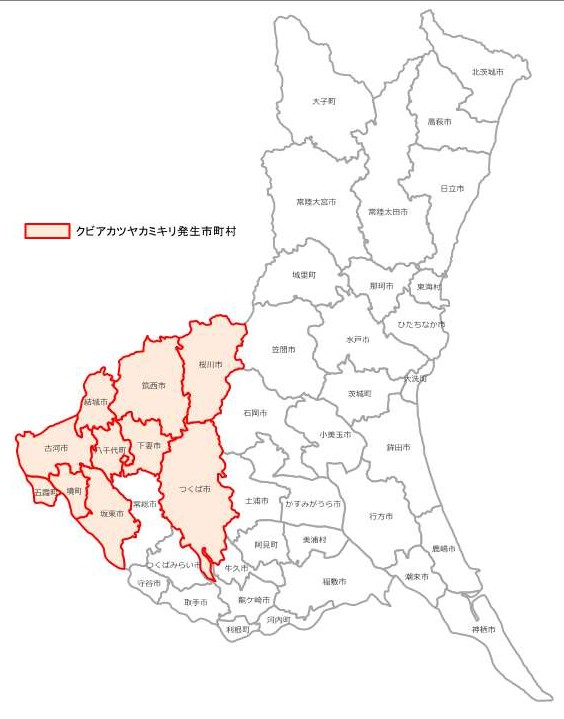 クビアカツヤカミキリ県内分布図1023