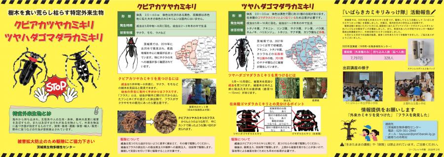 R7外来カミキリリーフレット