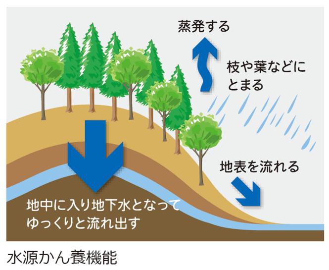 水源かん養機能