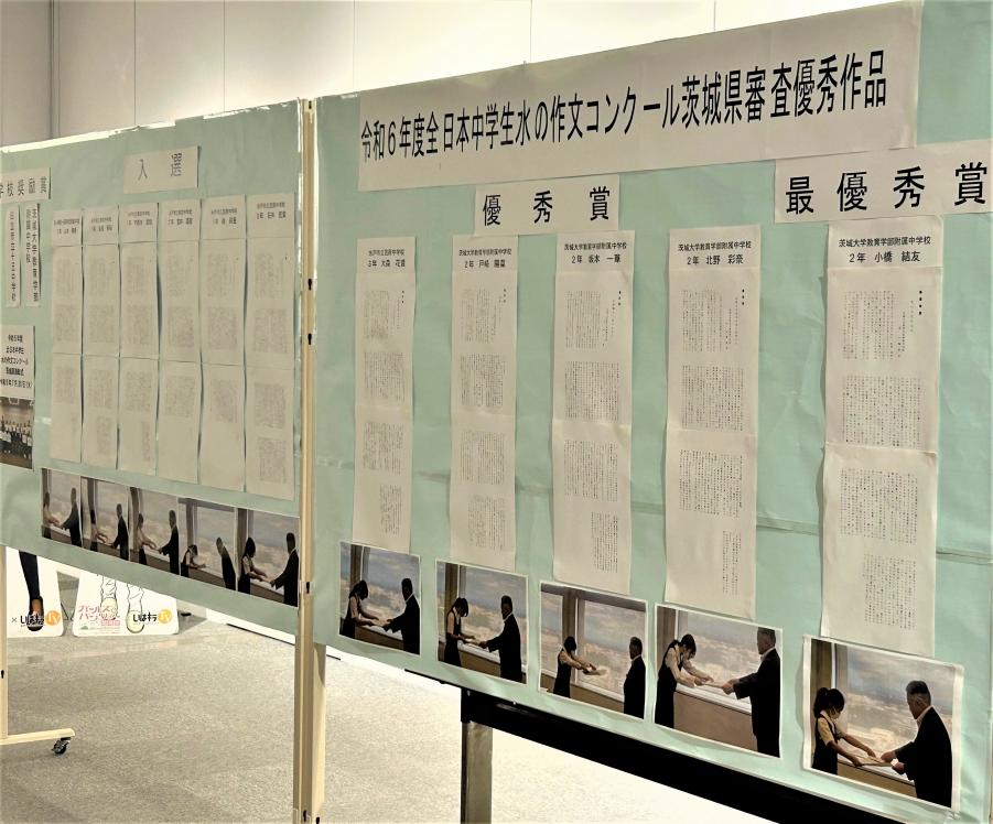 R6作文展示