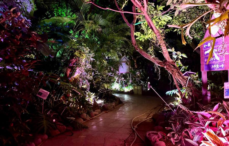 夜の植物園の様子