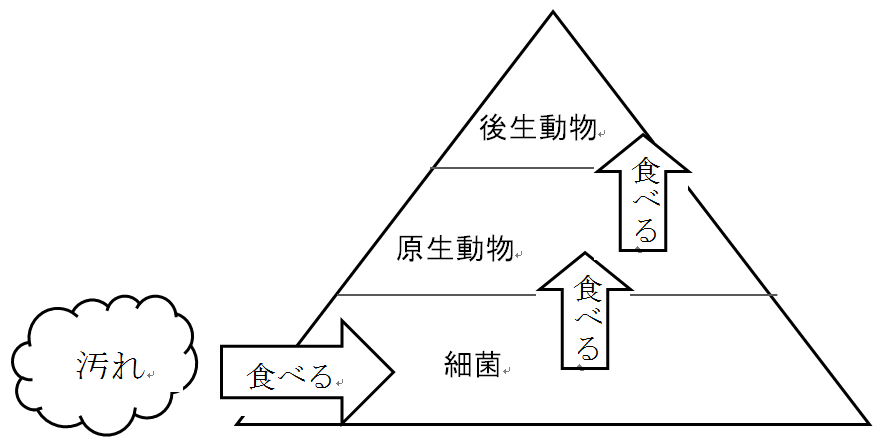 食物連鎖