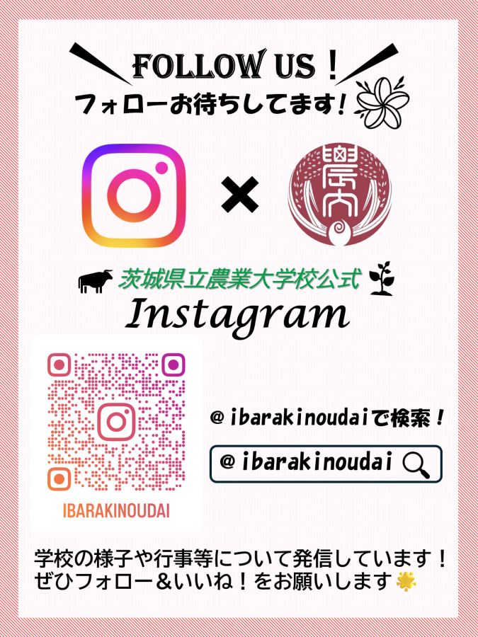 農大公式インスタグラムパンフレット