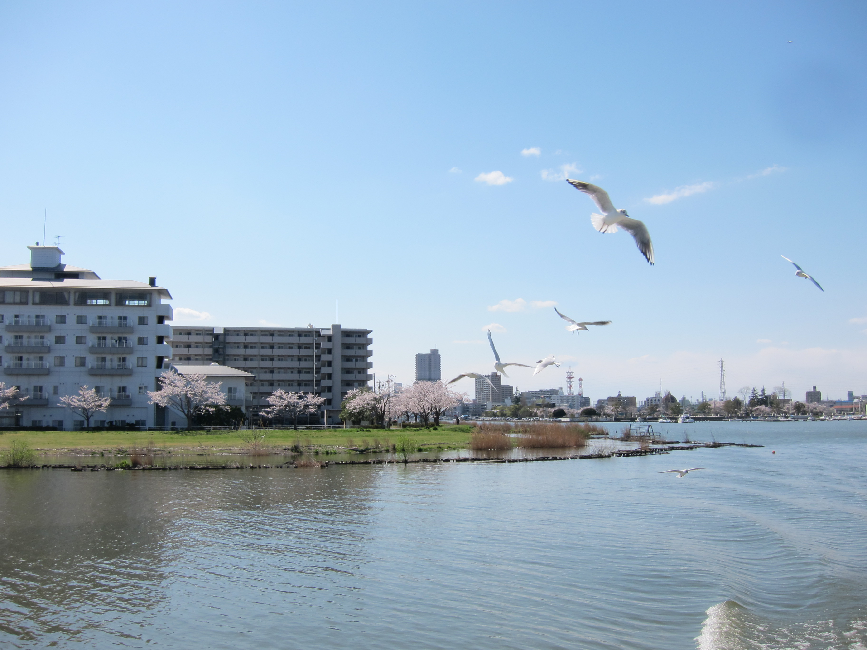 茨城県霞ケ浦環境科学センター