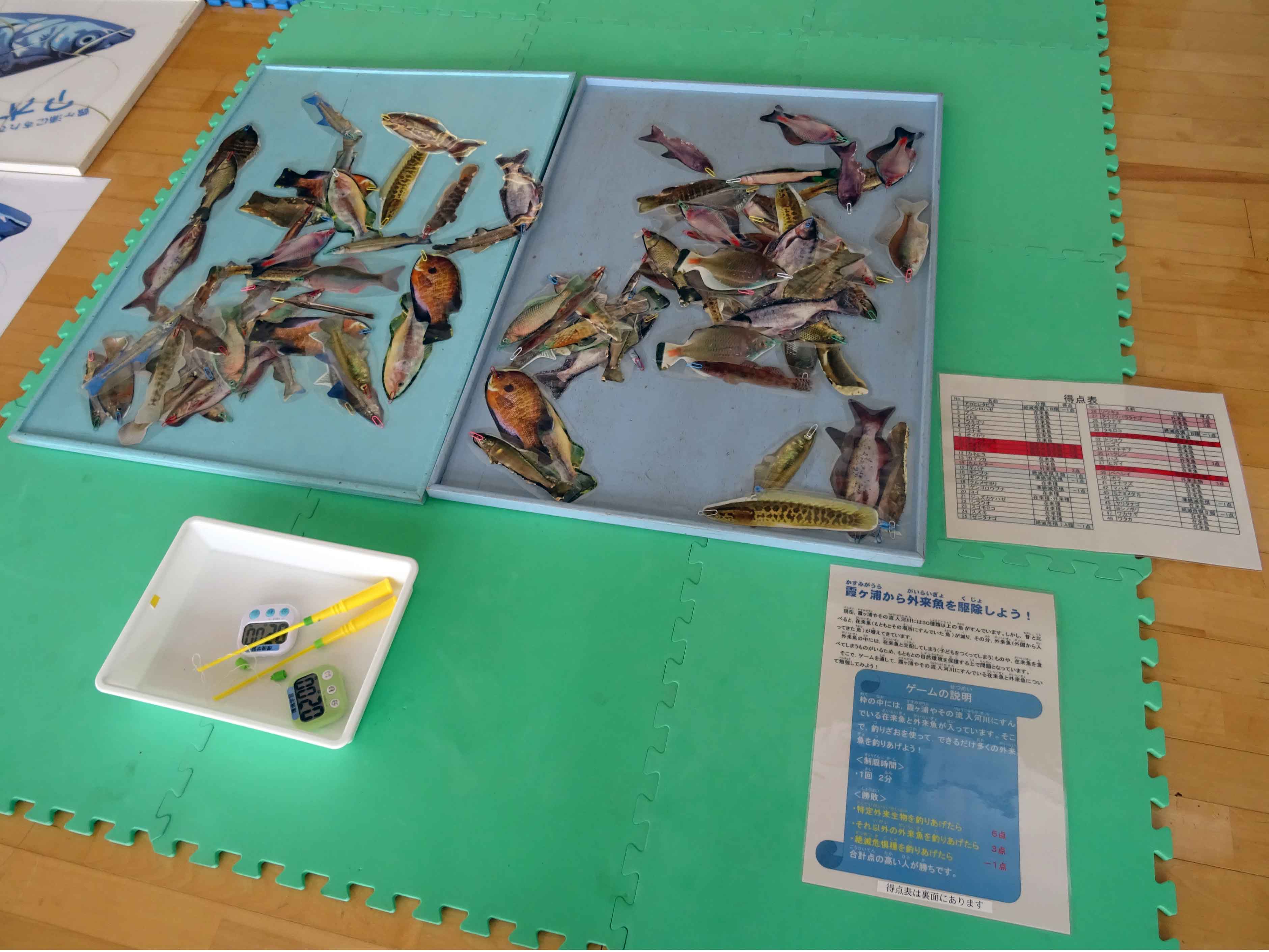 霞ヶ浦から外来魚を駆除しよう!磁石の魚釣りゲーム
