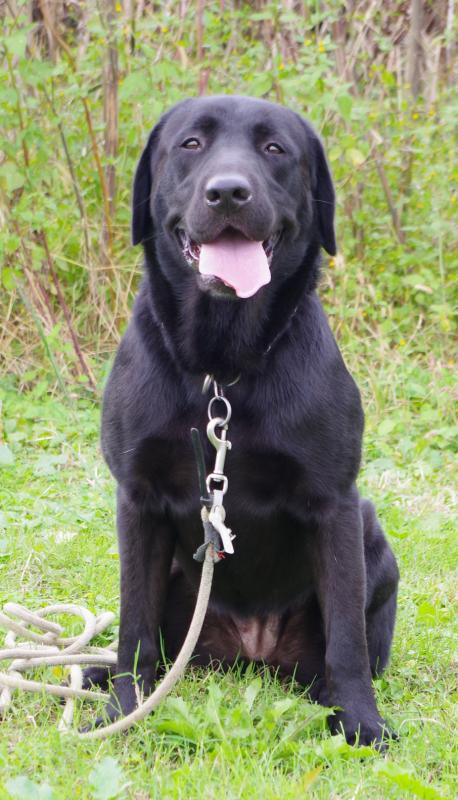 アンオブスズランTH