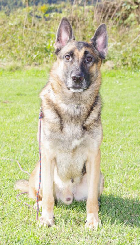 バルドハートオブユージブラック