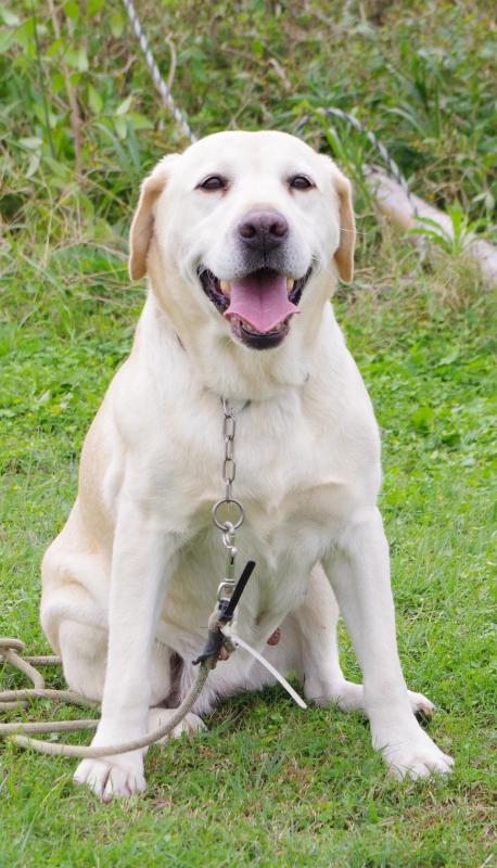 ベルフォンヨコハマシゲリ