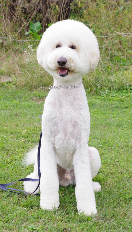 ラエスプリジェイピーシェリ2